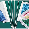 Ultra Lightwesight Swing Poles